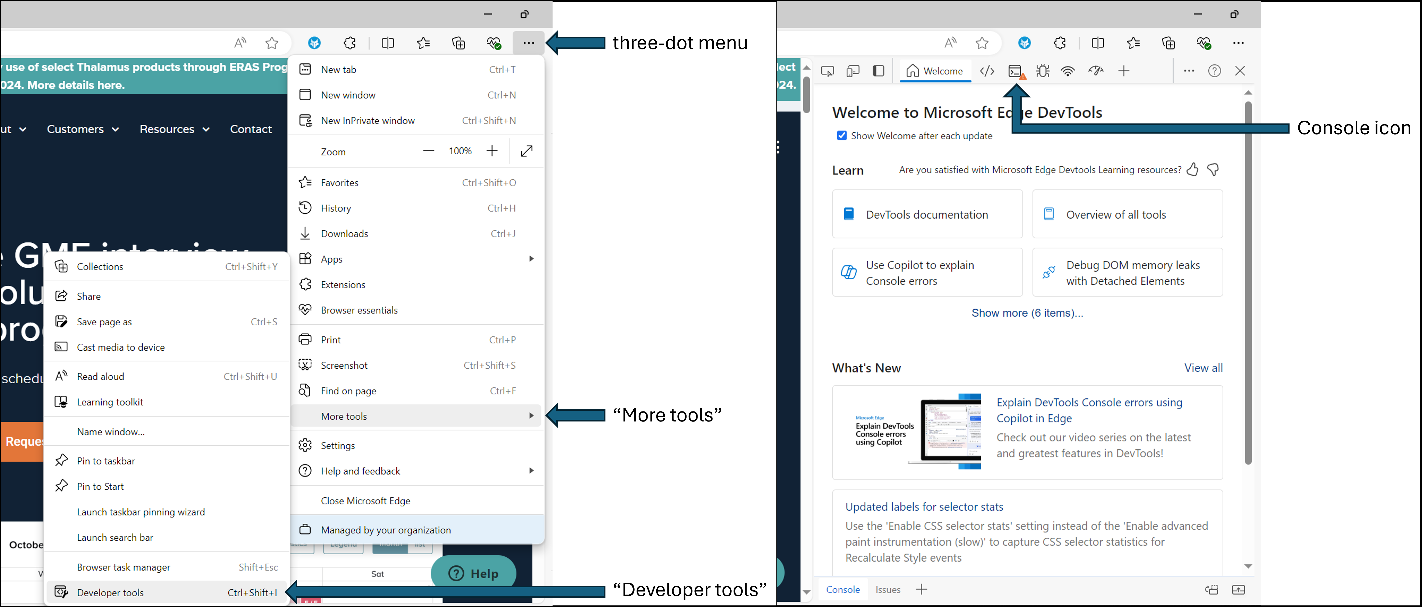 EdgeDevTools.png